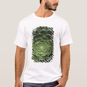 Centrera av kaktusen t-shirt