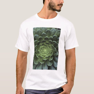 Centrera av kaktusen tee