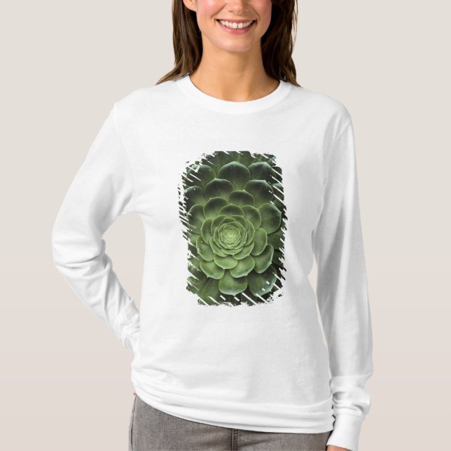 Centrera av kaktusen tee shirt (Framsida)