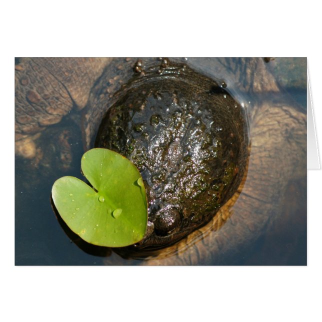 Centrerad Hälsningskort (Framsidan Horizontal)