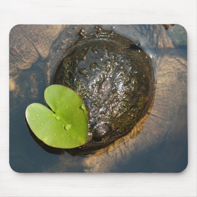 Centrerad Musmatta (Framsidan)