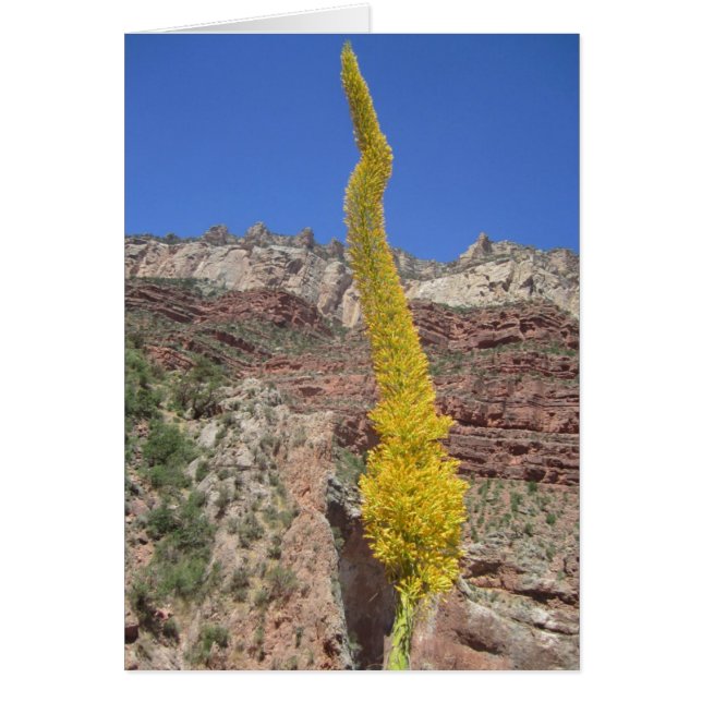 Centrifugeringskort Hälsningskort (Framsidan)