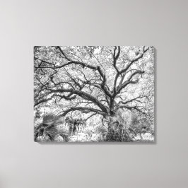 "Century Oak" Black and White Wall Art  Canvastryck