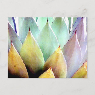 Century Plant nr 1 Vykort