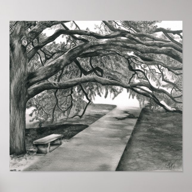 Century Träd Poster (Framsidan)