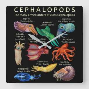 Cephalopod Octopus bläckfisk Fyrkantig Klocka
