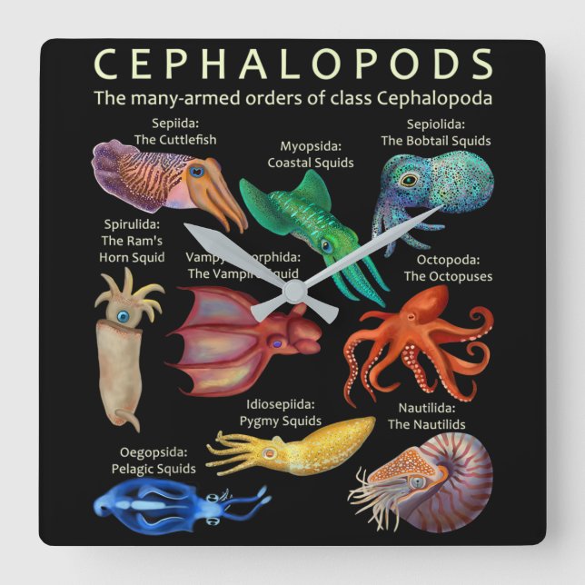 Cephalopod Octopus bläckfisk Fyrkantig Klocka (Framsida)