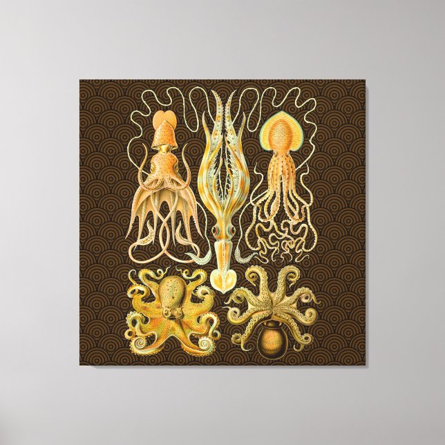 Cephalopod Octopus Squid Marine Natature Canvastryck (Framsida)