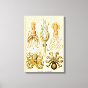 Cephalopod Octopus Squid Marine Natature Canvastryck