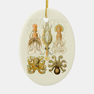 Cephalopod Octopus Squid Marine Natature Julgransprydnad Keramik