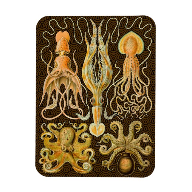 Cephalopod Octopus Squid Marine Natature Magnet (Vertikal)