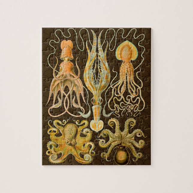 Cephalopod Octopus Squid Marine Natature Pussel (Vertikal)