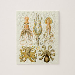 Cephalopod Octopus Squid Marine Natature Pussel