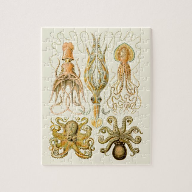 Cephalopod Octopus Squid Marine Natature Pussel (Vertikal)