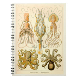 Cephalopod Octopus Squid Sea Anteckningsbok Med Spiral