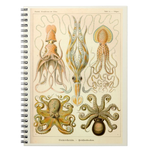 Cephalopod Octopus Squid Sea Anteckningsbok Med Spiral (Framsidan)