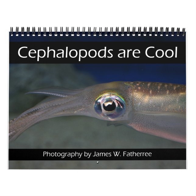 Cephalopoder är Coola Kalender (Omslag)