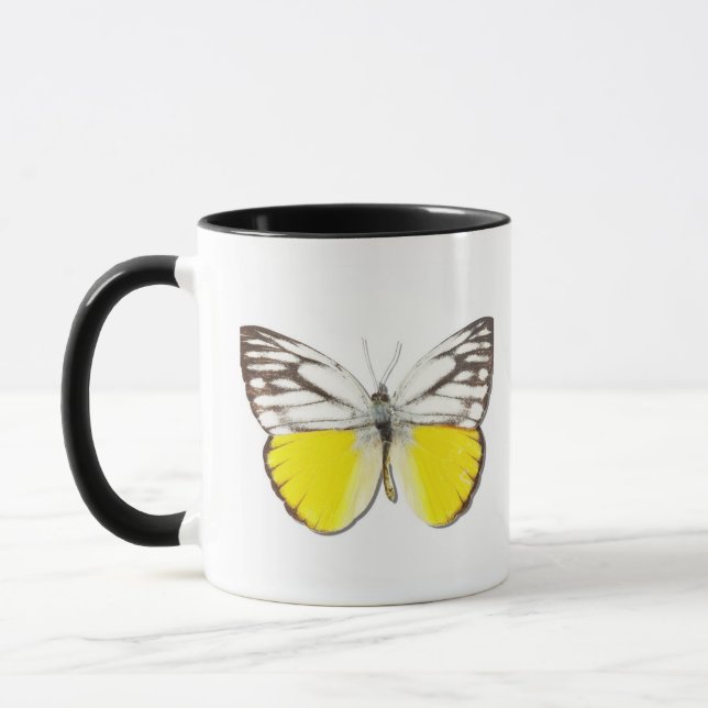 Cepora aspasia mugg (Vänster)
