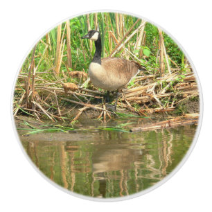 CERAMIC KNOB/CANADA GOOSE AT VATTEN KANT KNOPP
