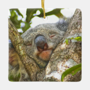 Ceramic Koala Ornament