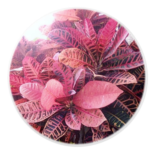 Ceramic stänk färg pull knopp (Framsidan)