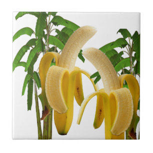 Ceramic Tile Banana Träd Kakelplatta