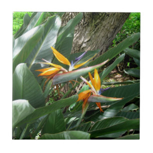 Ceramic Tile-Bird of Paradise Kakelplatta