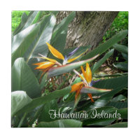 Ceramic Tile-Bird of Paradise