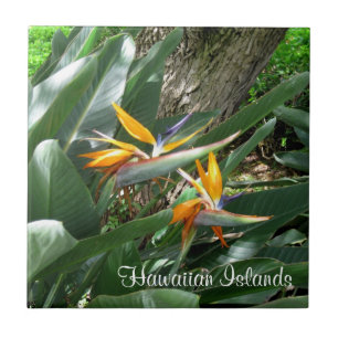 Ceramic Tile-Bird of Paradise Kakelplatta