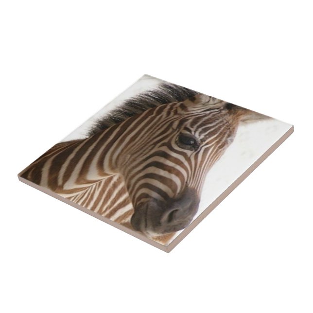 Ceramic Tile Brown Zebra Rand Kakelplatta (Sidan)
