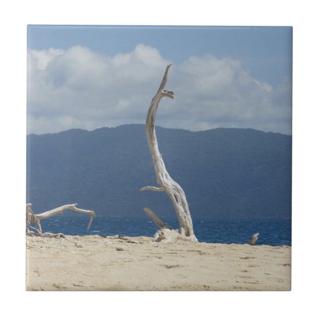 Ceramic Tile, Franklandsöarna Kakelplatta (Framsidan)