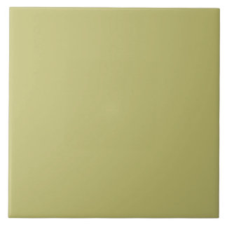 Ceramic Tile in Pastel Green Kakelplatta