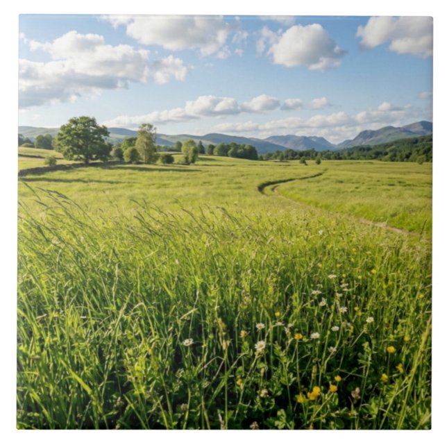 Ceramic Tile Kakelplatta (Framsidan)