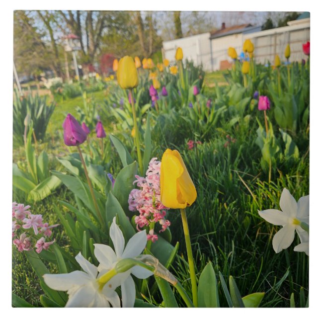 Ceramic Tile Kakelplatta (Framsidan)