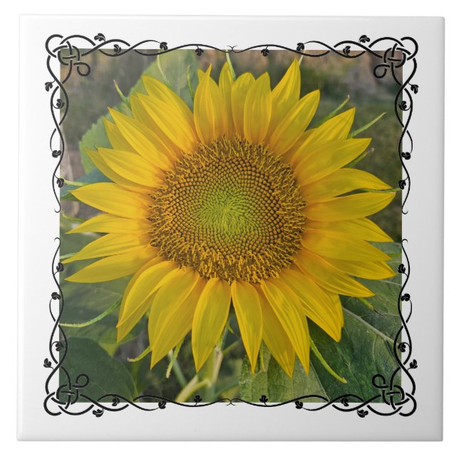 Ceramic Tile Kakelplatta (Framsidan)