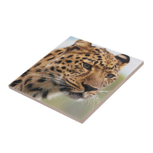 Ceramic Tile Leopard Kakelplatta