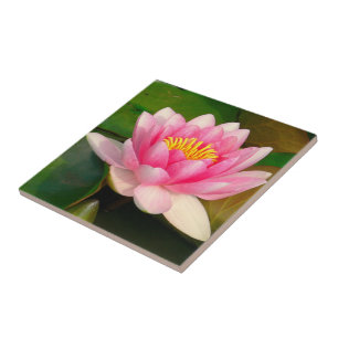 CERAMIC TILE/ROSA LOTUS-BLOMMAR KAKELPLATTA
