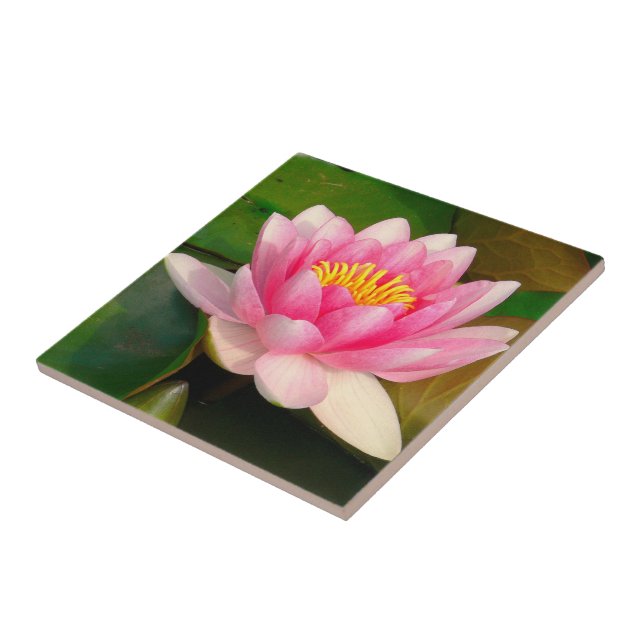 CERAMIC TILE/ROSA LOTUS-BLOMMAR KAKELPLATTA (Sidan)