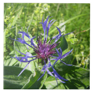 Céramique décoration murale, Fleur bleue. Kakelplatta