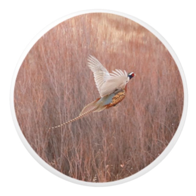 Ceramisk Anpassningsbar av ring-nacke-fasan Knopp (Framsidan)