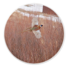 Ceramisk Anpassningsbar av ring-nacke-fasan Knopp