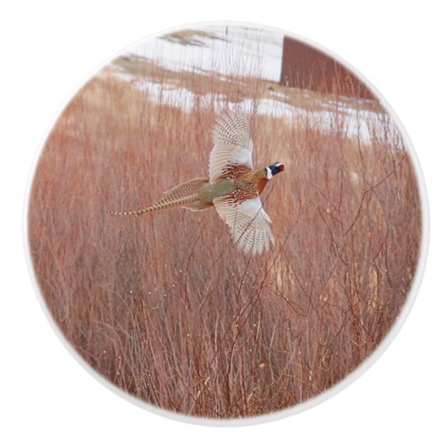 Ceramisk Anpassningsbar av ring-nacke-fasan Knopp (Framsidan)