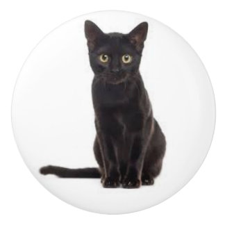 Ceramisk dryck med svart katt knopp