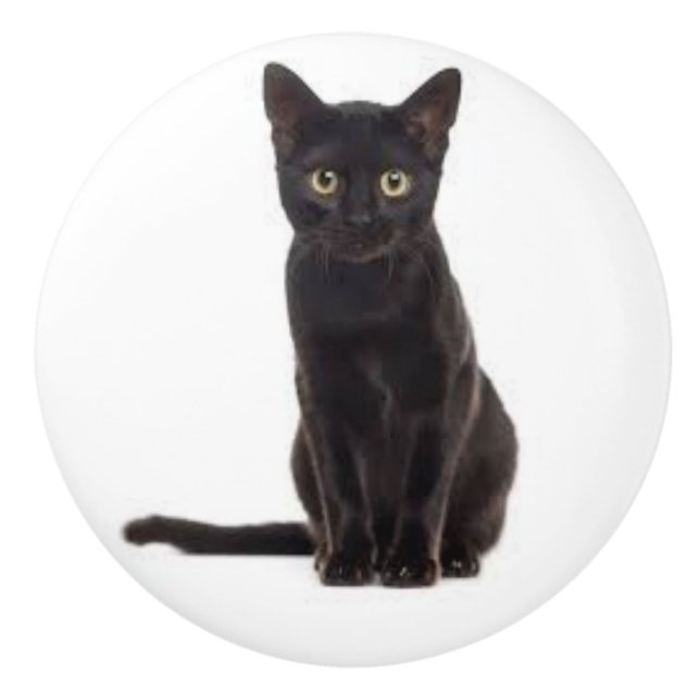 Ceramisk dryck med svart katt knopp (Framsidan)