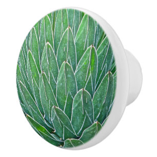 CERAMISK KNOB/AGAVAVANLÄGGNING KNOPP