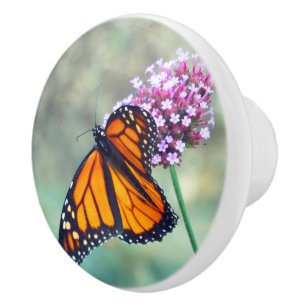 CERAMISK KNOB, MONARCH BUTTERFLY ON FLOWER KNOPP
