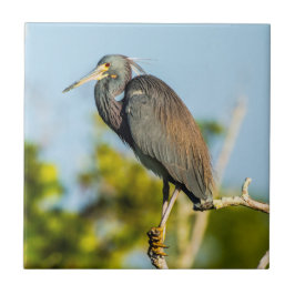 Ceramisk platta Perfekt Kakelplatta