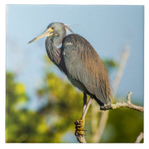 Ceramisk platta Perfekt