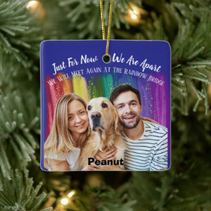 Ceramisk prydnad med Pet Memorial Photo Tribute Julgransprydnad Keramik