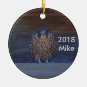 Ceramisk prydnadsföremål Mike 2018 Julgransprydnad Keramik